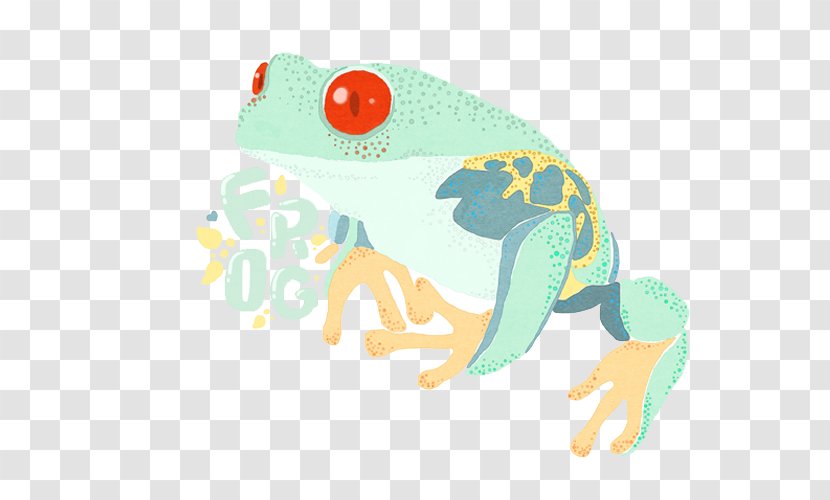 Edible Frog Tree Toad - Gratis - Green Transparent PNG