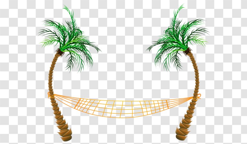 Hammock Arecaceae Clip Art - Beach - Summer Transparent PNG