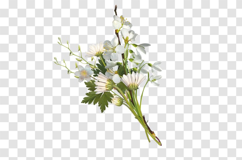 Floral Design Flower Bouquet - Plant Transparent PNG