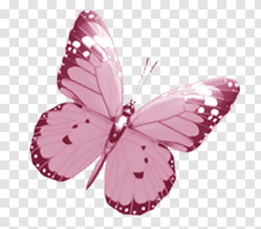 Butterfly Drawing Pink Clip Art - Color - Watercolor Transparent PNG