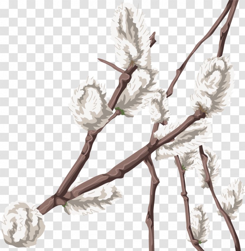 Twig Plant Stem Flowering Rope - Flower Transparent PNG