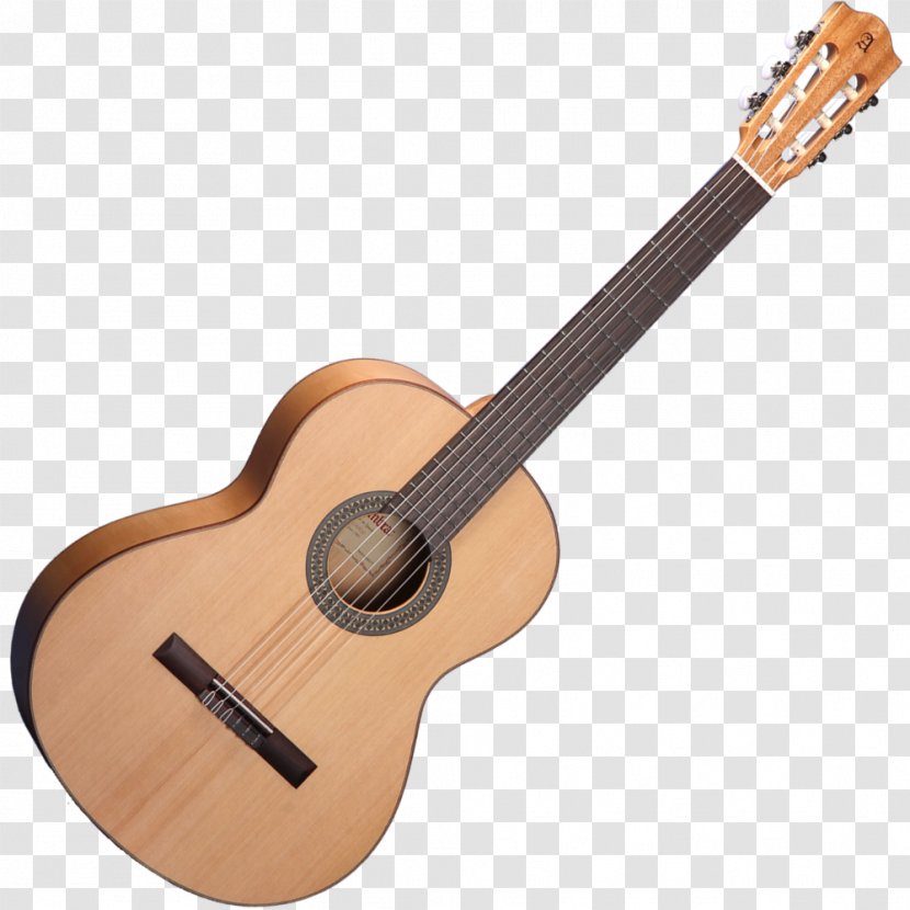 Takamine Guitars Dreadnought Steel-string Acoustic Guitar Acoustic-electric - Watercolor Transparent PNG
