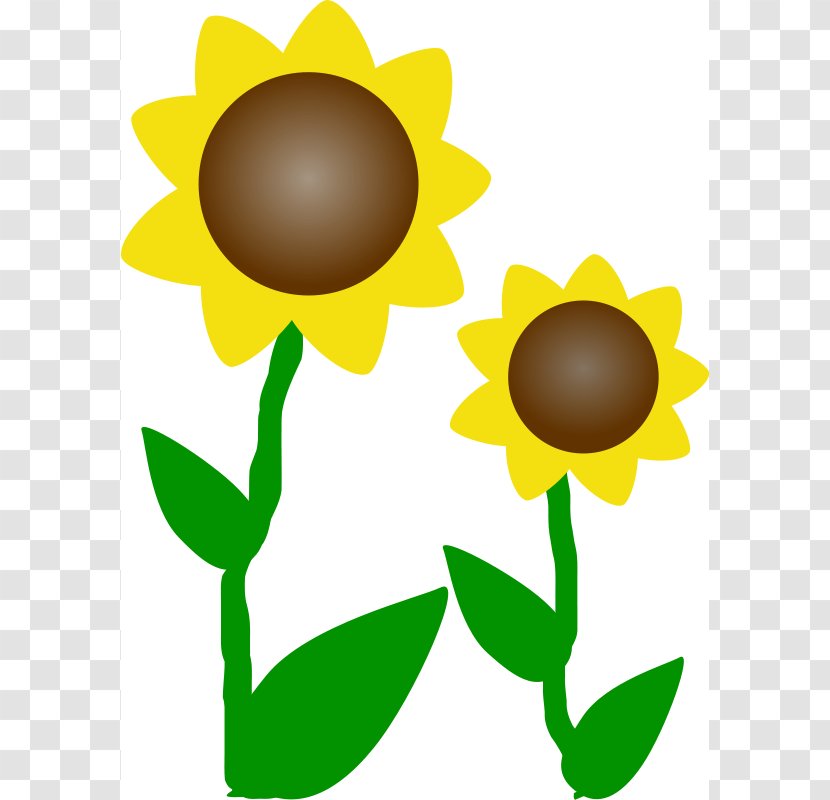 Common Sunflower Free Content Drawing Clip Art - Show And Tell Clipart Transparent PNG