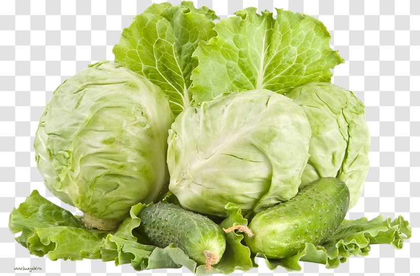 Vegetarian Cuisine Coleslaw Red Cabbage Napa - Cauliflower Transparent PNG