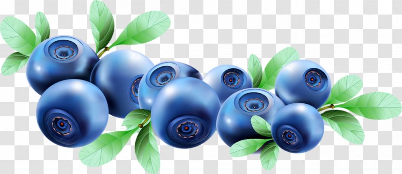 Juice Blueberry Fruit - HD Painted Transparent PNG