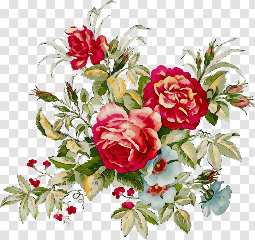 Vector Graphics Clip Art Design Illustration - Rose - Floral Transparent PNG