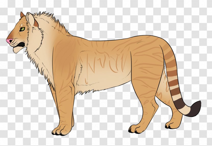Big Cat Dog Canidae Terrestrial Animal - Carnivoran Transparent PNG