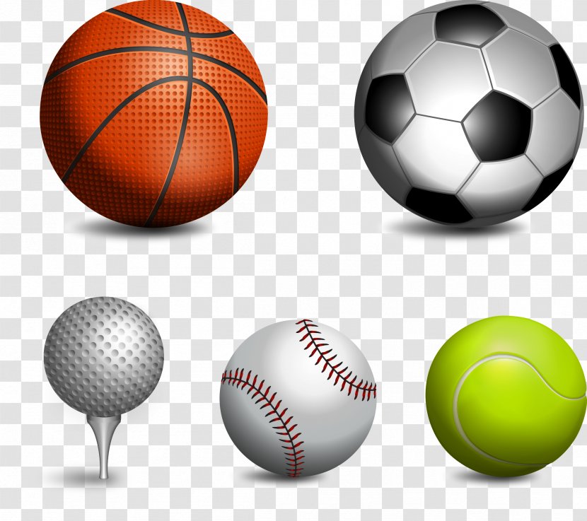 Basketball - Academy Transparent PNG