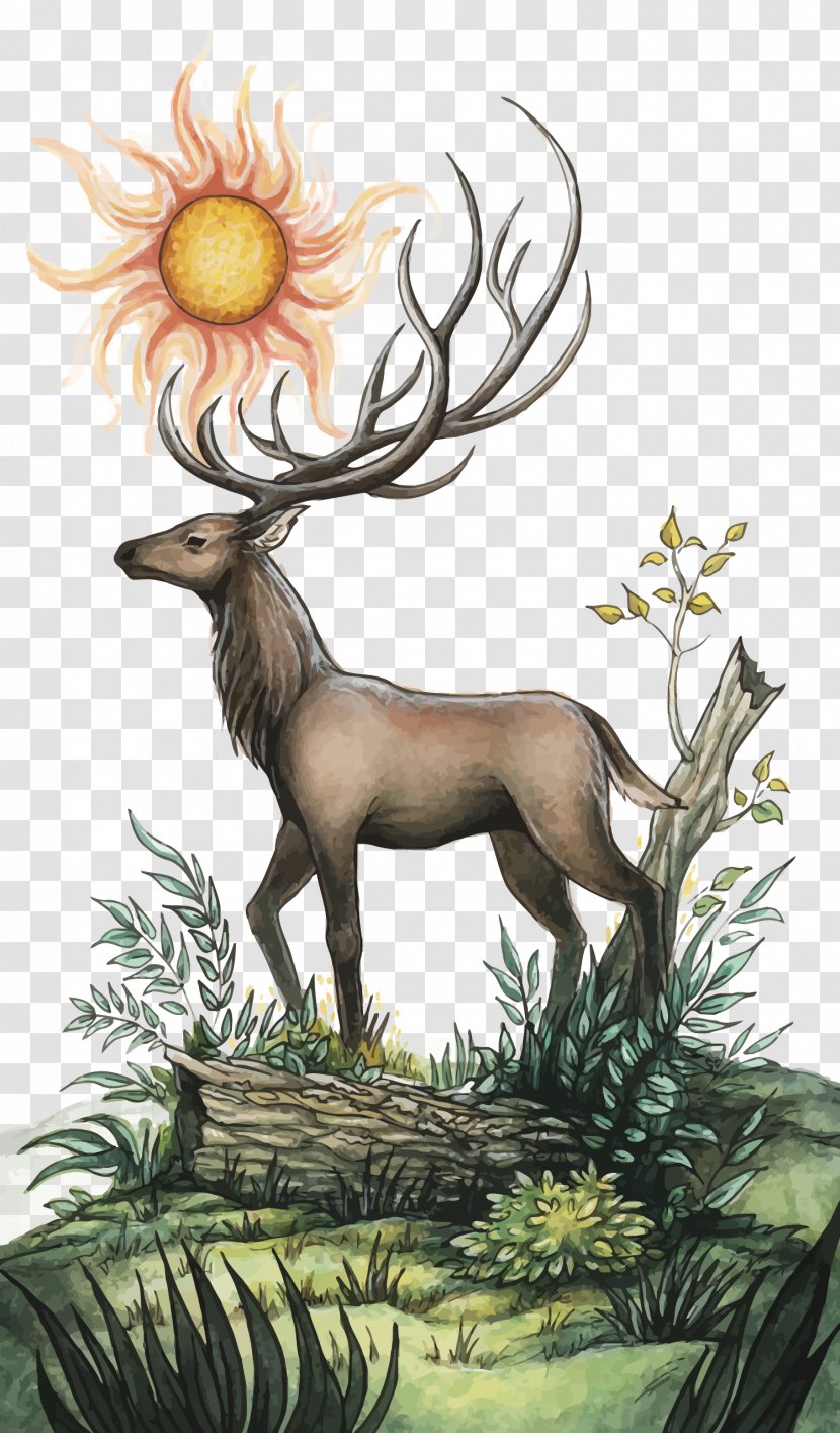 Vector Deer And Sun - Art - Hunting Transparent PNG
