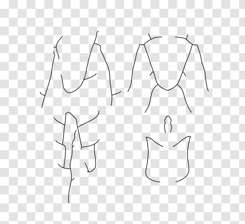 Drawing Line Art - Cartoon - Flippers Transparent PNG