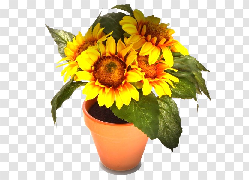 Common Sunflower Painting Cut Flowers - Flower Bouquet Transparent PNG