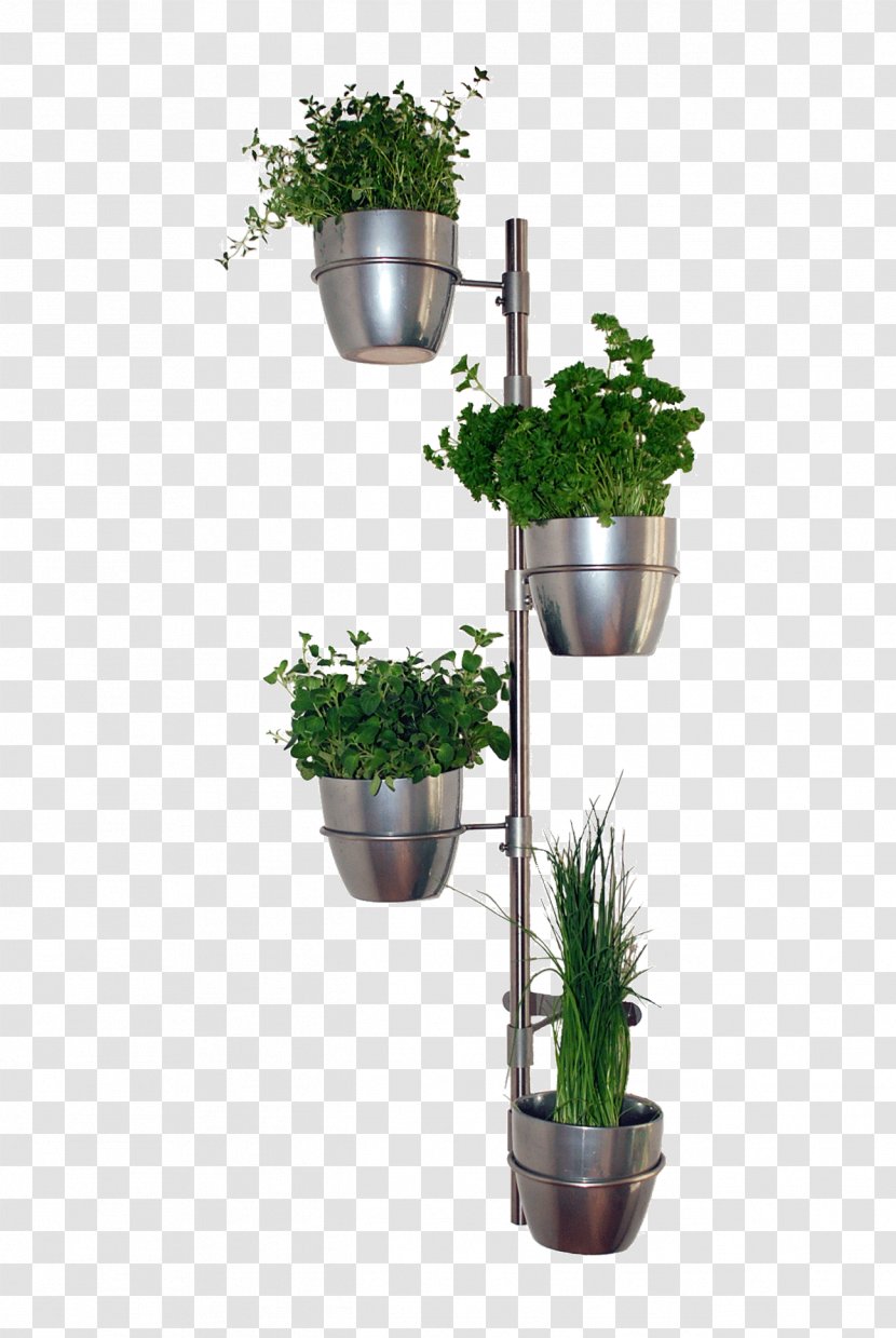 Flowerpot Houseplant University Of Economics, Prague - Vase - Flower Transparent PNG