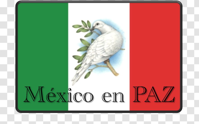 El Universal Peace Imagenes De Mexico Idea - Feather - Compas Transparent PNG
