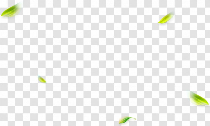 Pattern - Symmetry - Green And Fresh Leaves Floating Material Transparent PNG