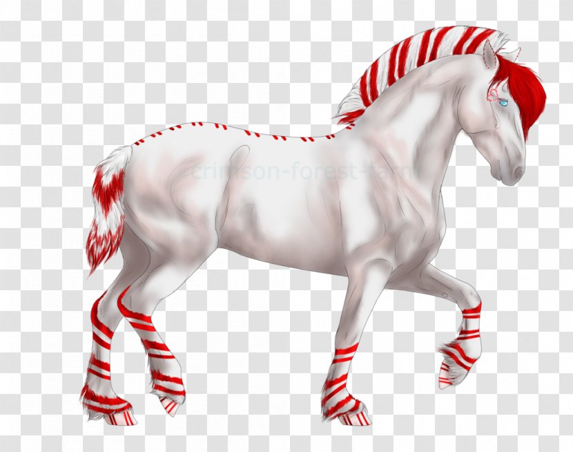 Stallion Mustang Breed Advent Calendars Barn Transparent PNG