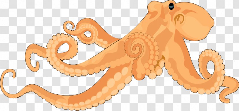 Octopus Free Content Clip Art - Organism - Cliparts Transparent PNG