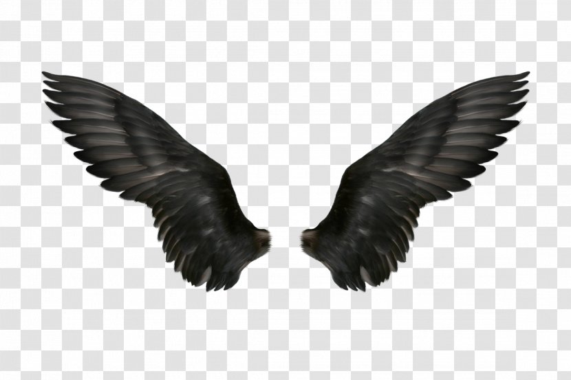 Clip Art - Black And White - Wings Transparent PNG