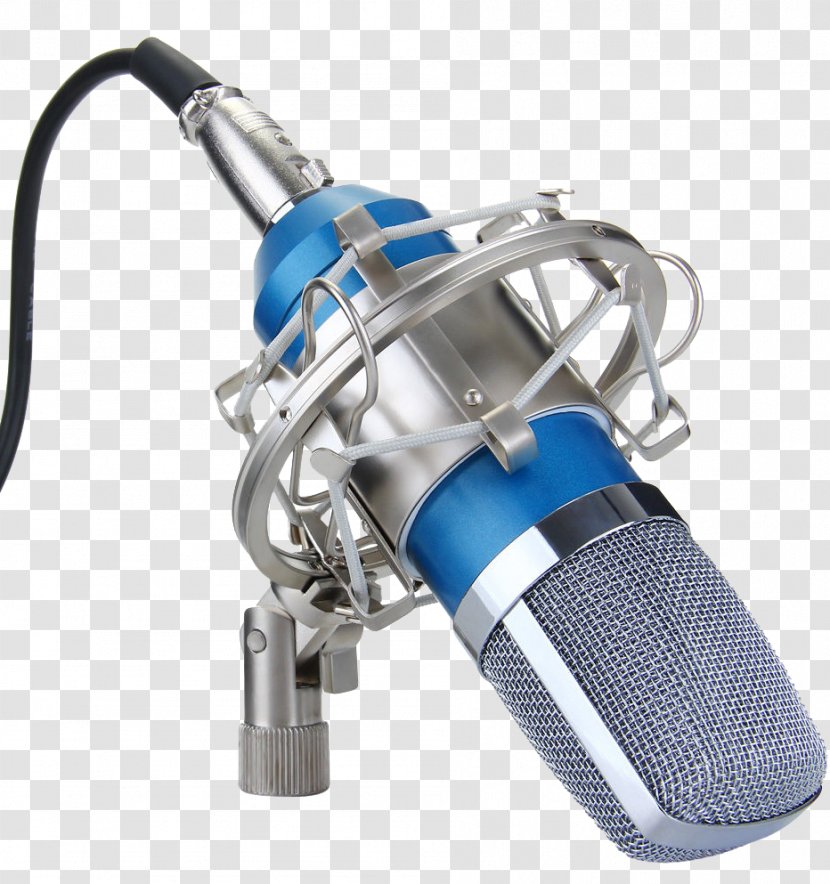 Microphone Stand Shock Mount Sound Recording And Reproduction Studio - Flower - Pic Transparent PNG