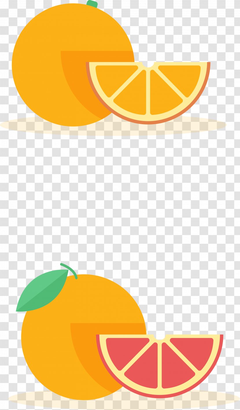 Orange Grapefruit Cartoon Pomelo Clip Art - Comics - Vector And Oranges Transparent PNG