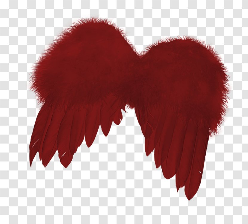 Fur Heart White - Wing Transparent PNG