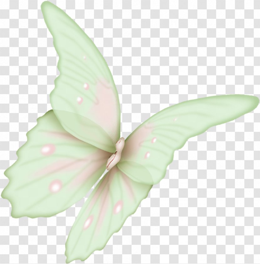 Butterfly Flight Wing Icon - Flower - Flying Transparent PNG