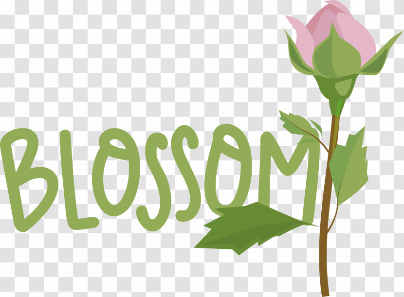 Leaf Plant Stem Logo Font Flower Transparent PNG
