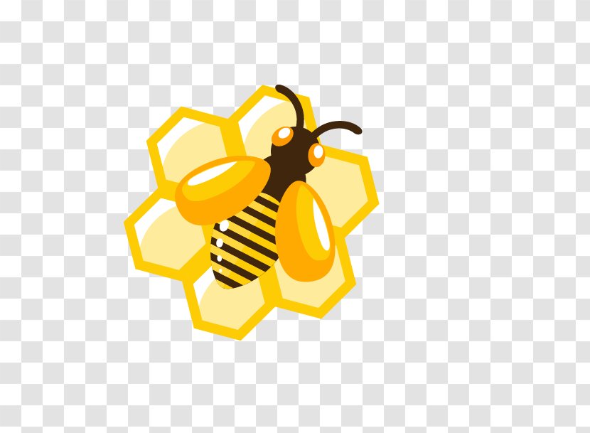 Honey Bee Honeycomb - Cartoon Transparent PNG