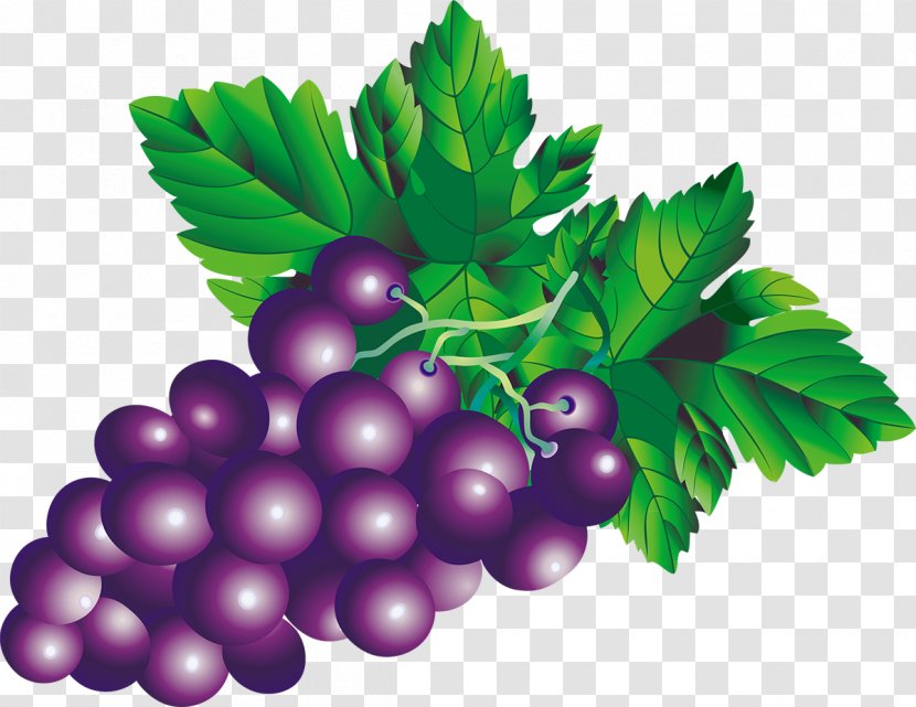 Juice Fruit Grape Drawing - Food Transparent PNG