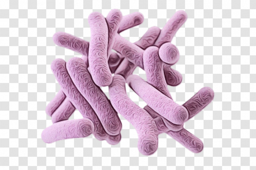 Bacteria Pathogenic Bacteria Pathogen Streptococcus Microorganism Transparent PNG