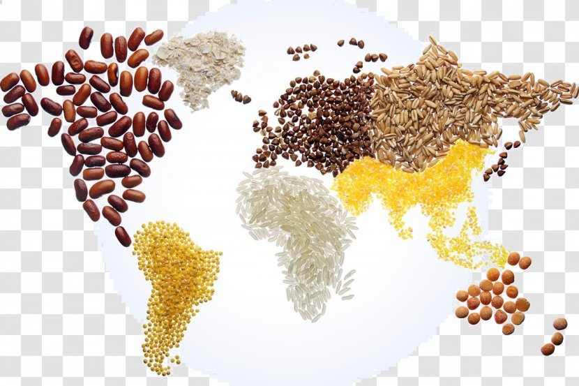 World Map Cereal Food - Mixture Transparent PNG