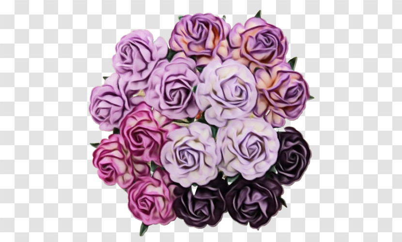 Garden Roses Transparent PNG