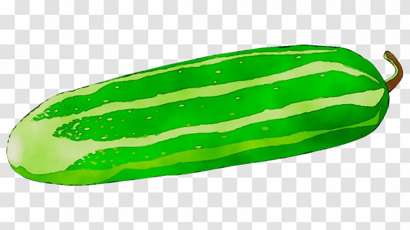 Pickled Cucumber Melon Fruit - Watermelon - Gourd And Family Transparent PNG