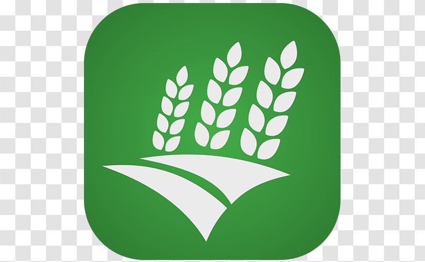 Farm Record Keeping Agriculture Agricultural Extension Farmer - Rural Area - Agro Transparent PNG