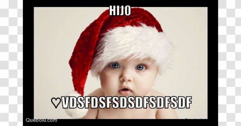 Desktop Wallpaper Infant Child High-definition Television Christmas - Flower Transparent PNG
