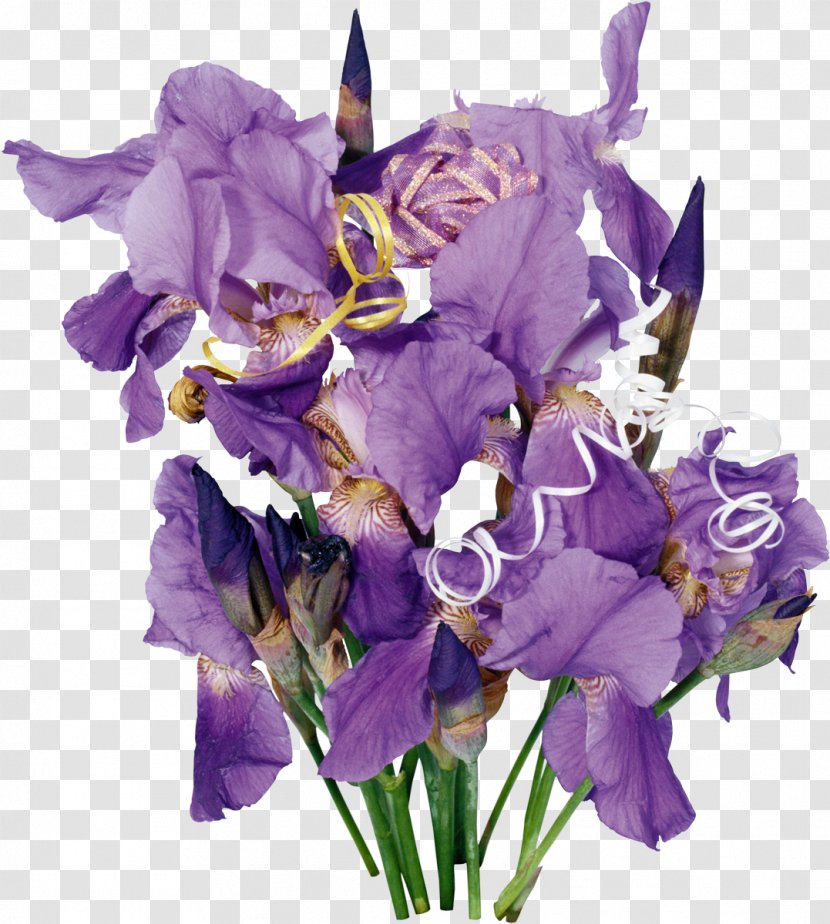 Cut Flowers Irises Wall Iris Flower Bouquet Transparent PNG