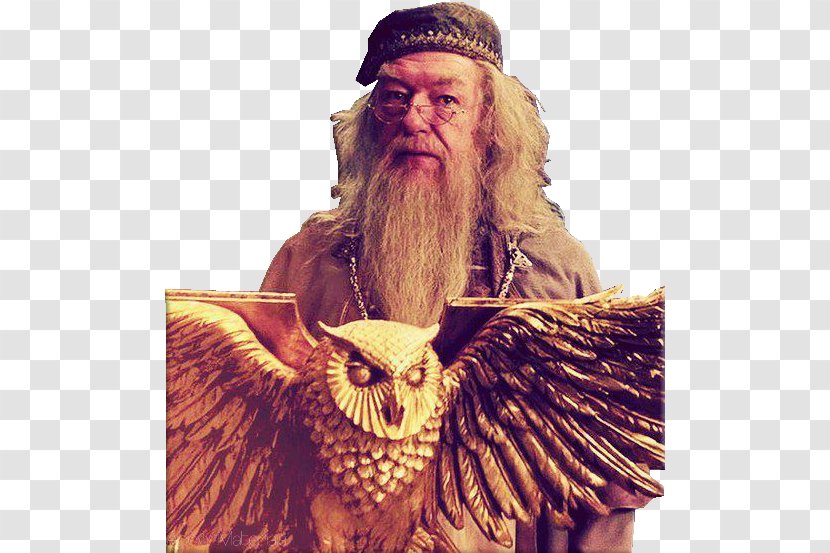 Beard Albus Dumbledore Harry Potter And The Goblet Of Fire Moustache Film Series - John Michael Transparent PNG