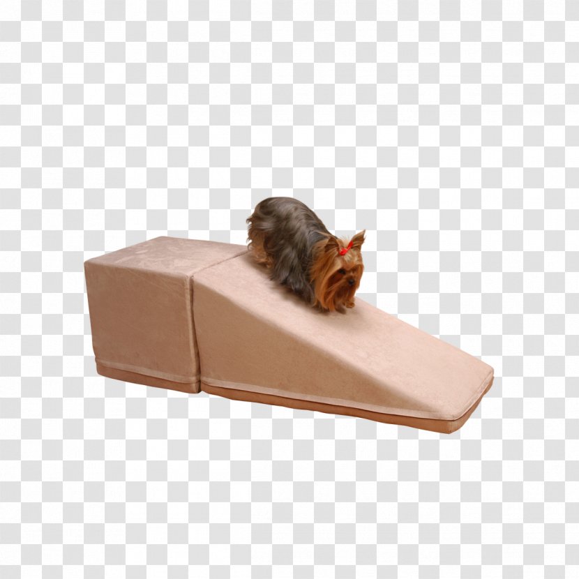Pet Cat Tree Bed Furniture Transparent PNG
