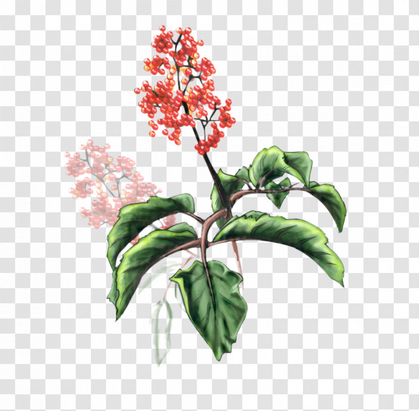 Lilac Flower - Flowerpot - Plant Plants Transparent PNG