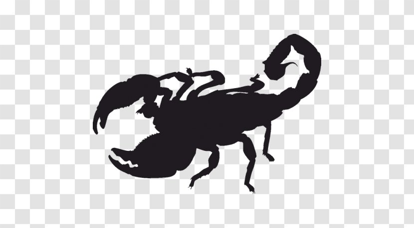Scorpion Silhouette Clip Art Transparent PNG