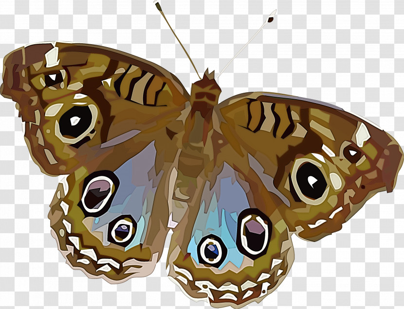 Monarch Butterfly Transparent PNG