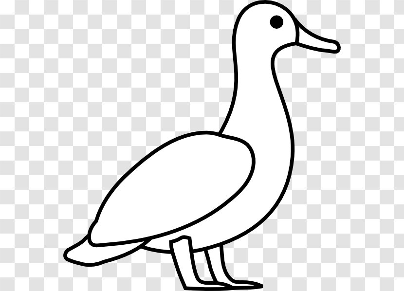 American Pekin Duck Mallard Clip Art - Frame - Outline Transparent PNG