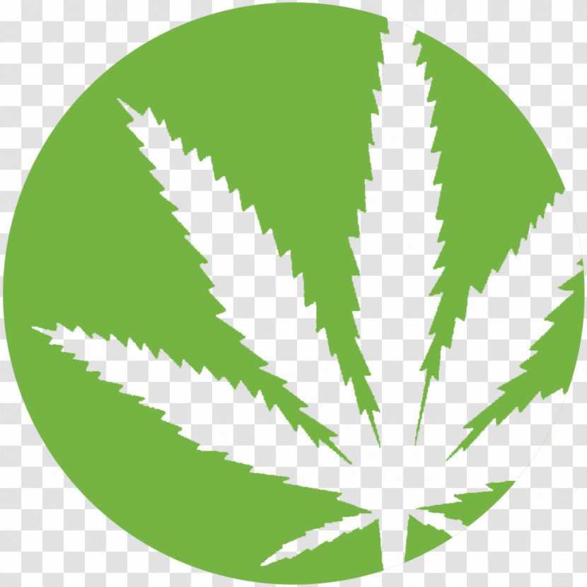 Medical Cannabis Leaf Clip Art - Grass Transparent PNG
