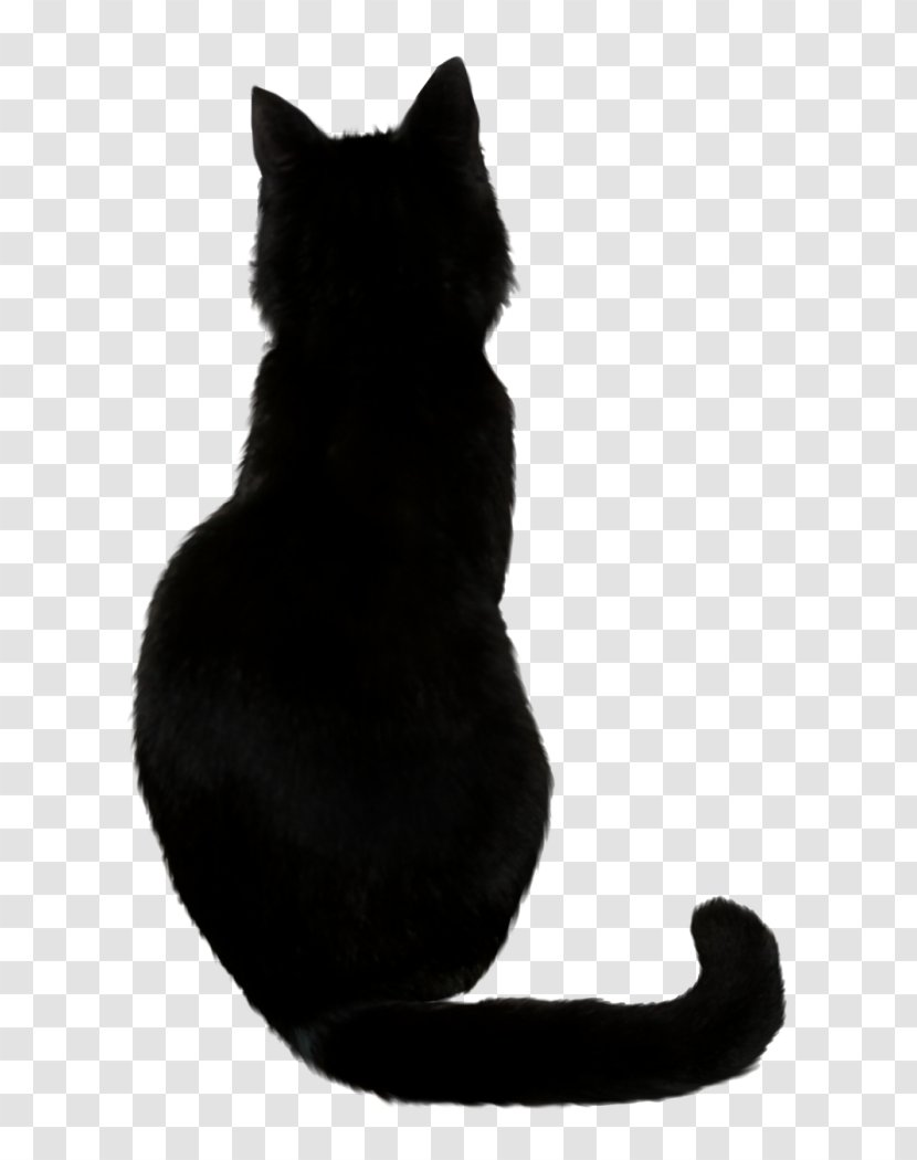 Black Cat Drawing Kitten - Flower Transparent PNG