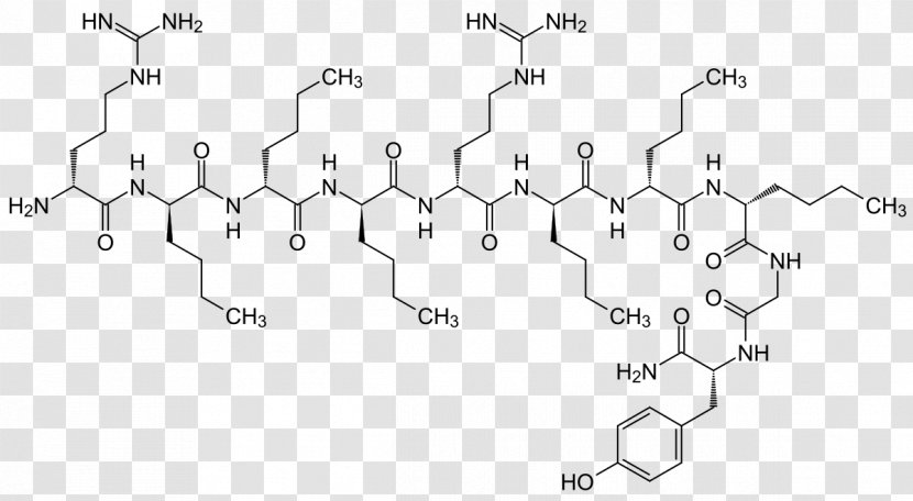 Endorphins Alpha-Endorphin Beta-Endorphin Peptide Neurotransmitter - Cartoon - Oxytocin Transparent PNG