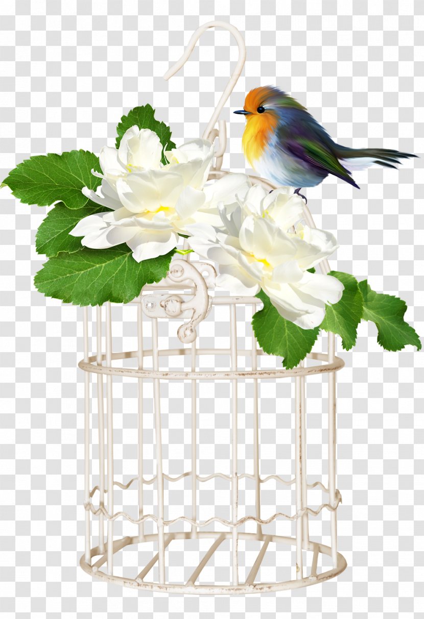 Birdcage - Flowerpot Transparent PNG