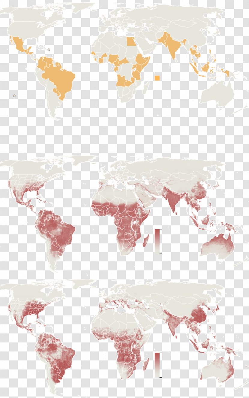 Cartography Zika Virus Map Geography Microcephaly - Pink Transparent PNG
