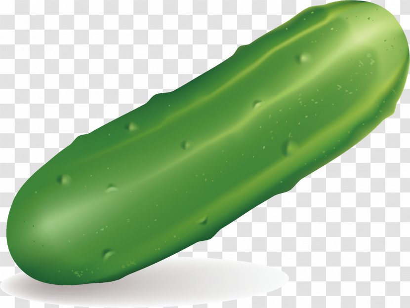 Cucumber Vegetable Auglis - Hand-painted Material Transparent PNG