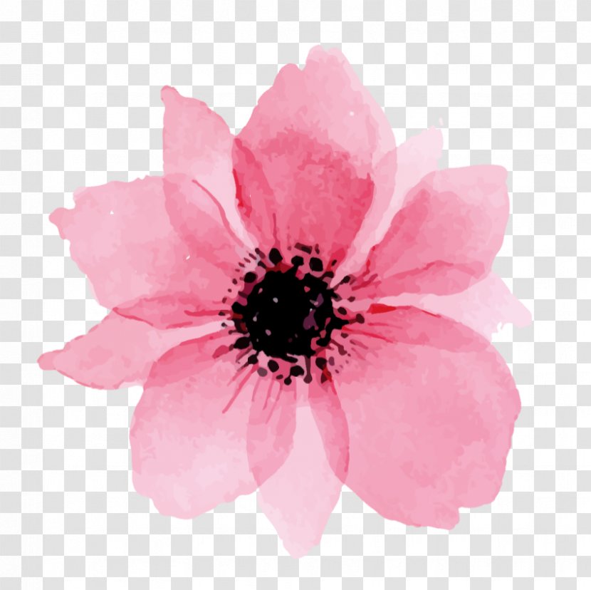 Watercolor Pink Flowers - Cut - Herbaceous Plant Annual Transparent PNG