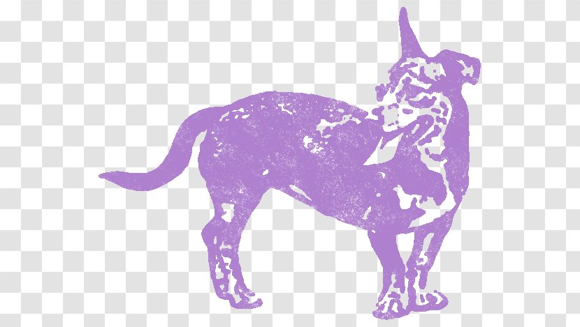 Cat Dog Breed Non-sporting Group Horse - Non Sporting - DOBERMAN PINSCHER Transparent PNG