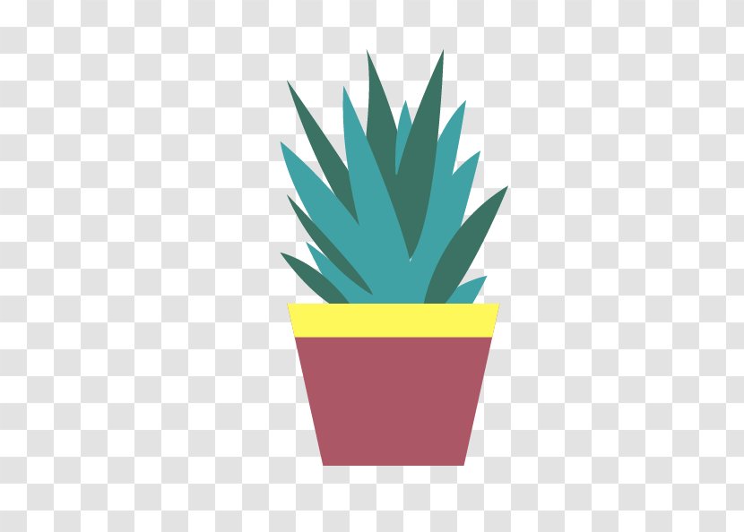 Cactaceae Aloe Green Flowerpot Euclidean Vector - Cactus Transparent PNG